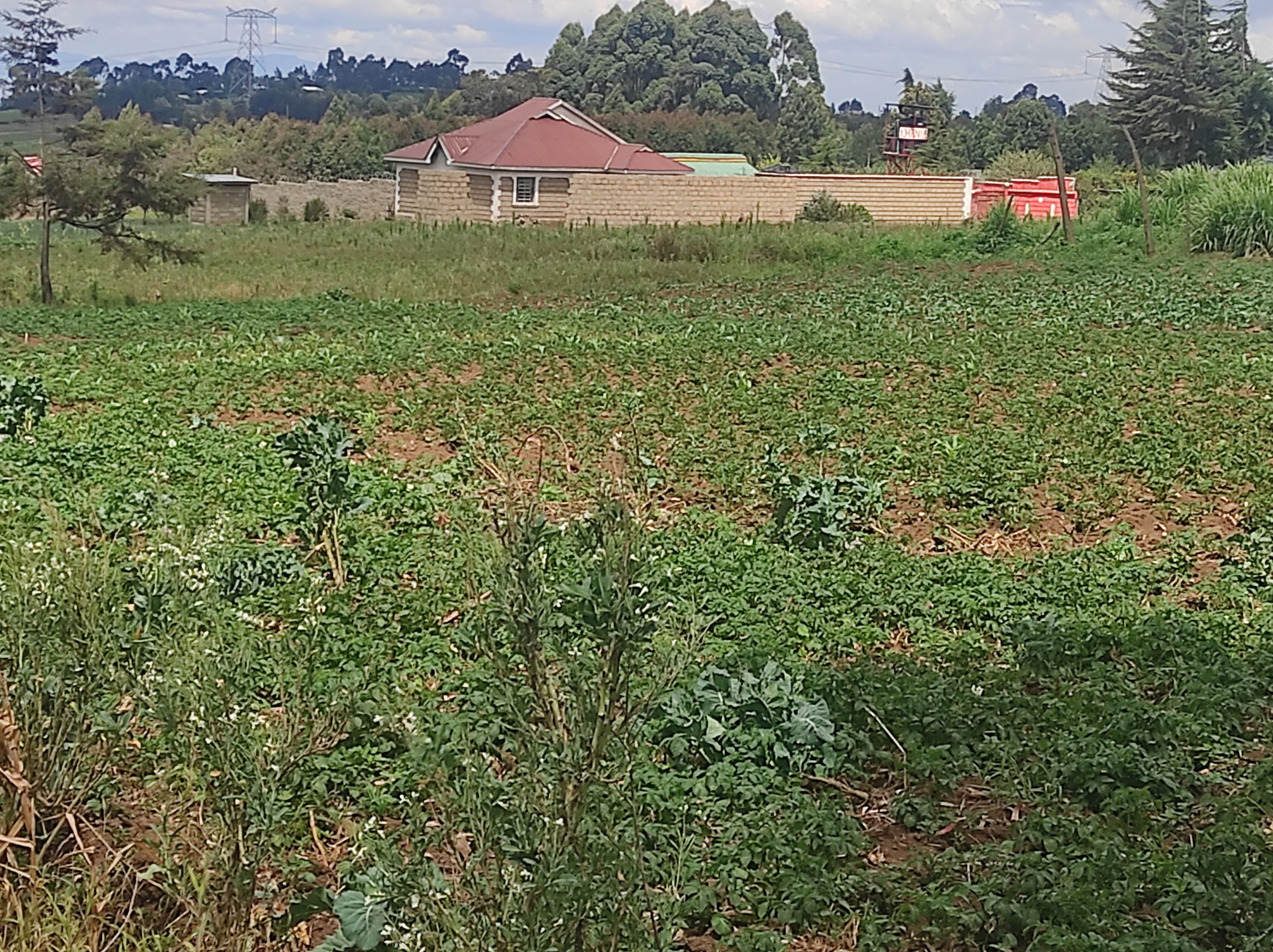 Longonot View, Kijabe
