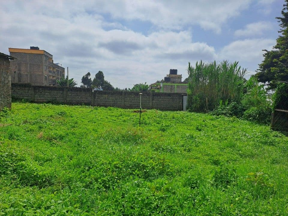 Top 5 Tips for First-Time Land Buyers in Kenya