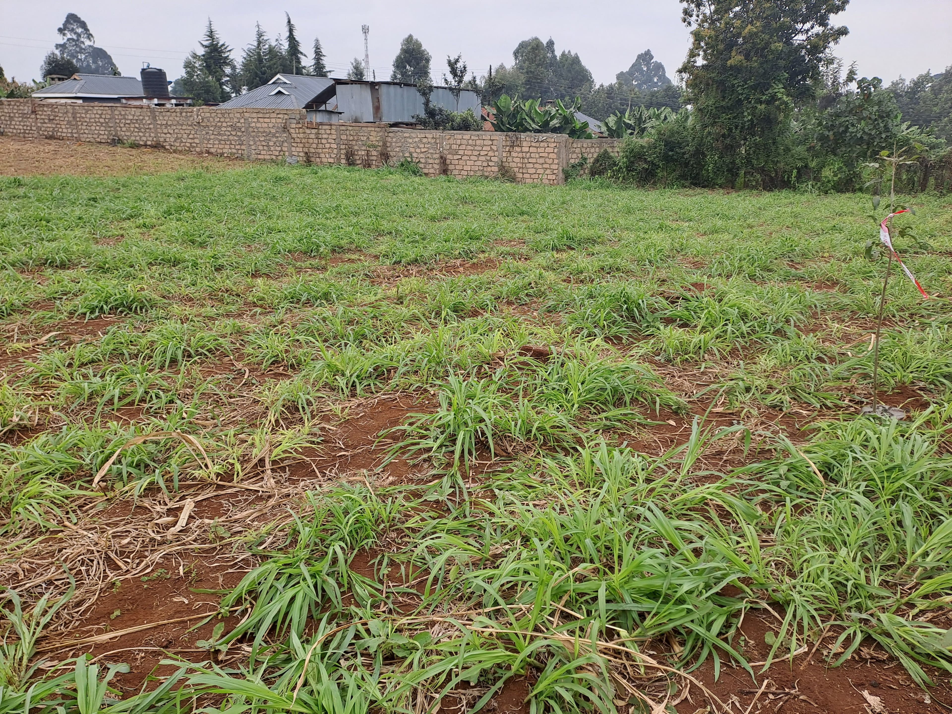 3 Reasons Why You Should Invest in Thogoto, Kikuyu Area